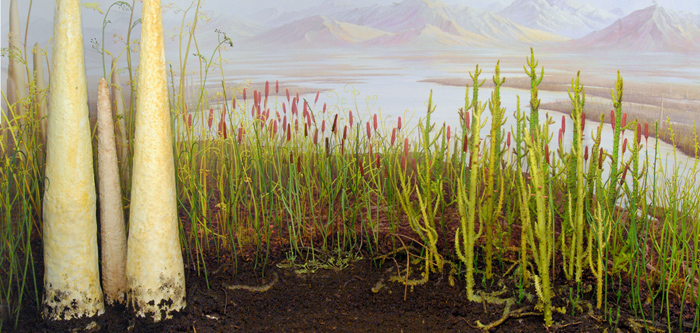 devonian plants