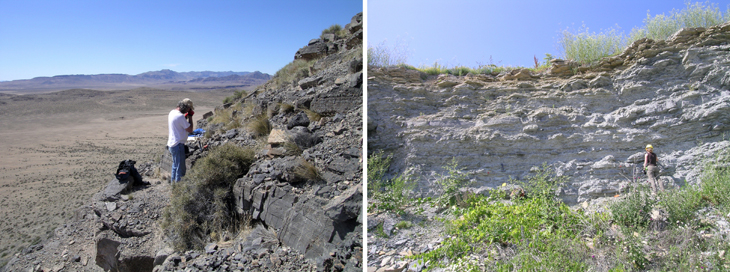 Field images