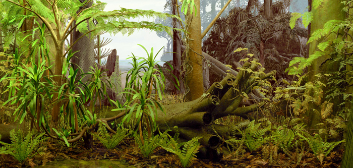 carboniferous period plants