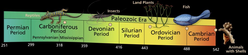 paleozoic era periods all