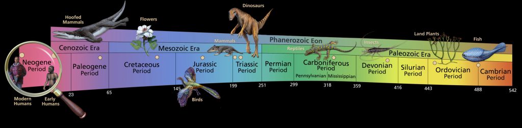 When Did The Phanerozoic Eon Start