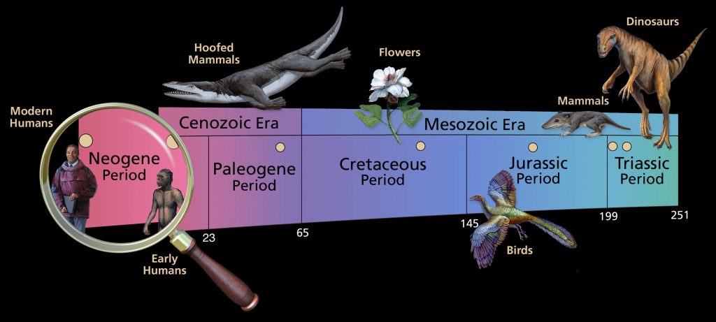 geologic time scale cenozoic