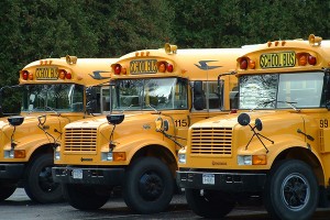 School Field Trips and Educational Resources