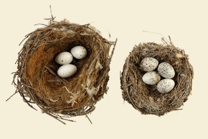 Nest Database