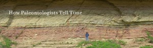 How Paleontologists Tell Time