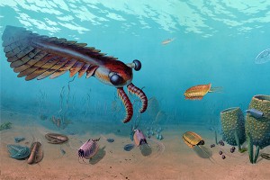 Cambrian Marine Communities