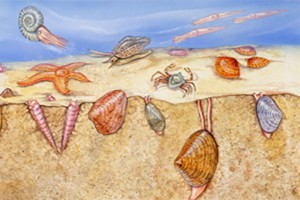 Cretaceous Marine Communities