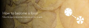 How to become a fossil banner