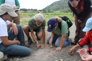 Paleo Expedition 2015