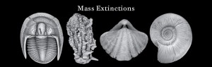 Understanding Extinction