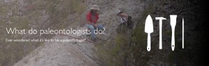 What do paleontologists do banner