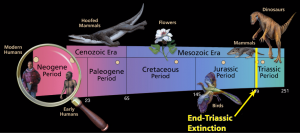 end triassic extintion