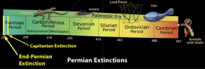 permian extinctions