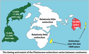 pleistocene extinctions