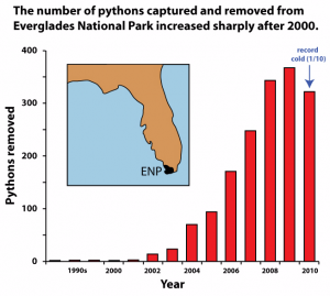 pythons removed
