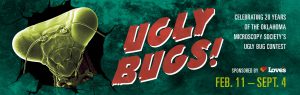 ugly bugs banner