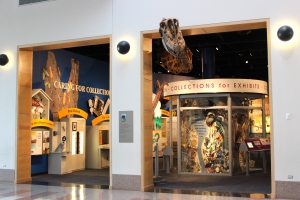 orientation gallery