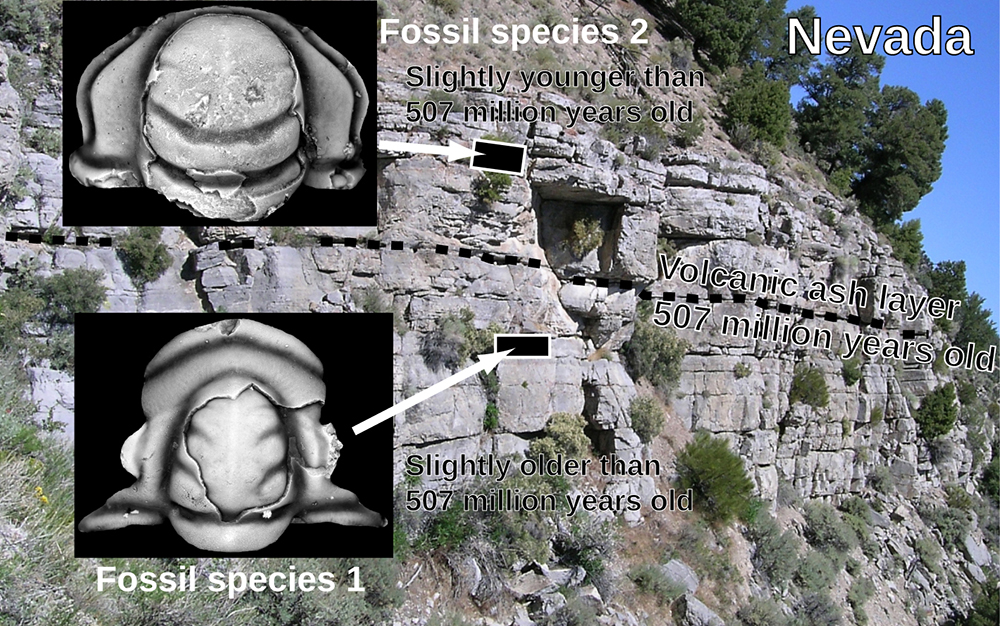 how could radiometric dating be used to sort out the relative ages of rock layers