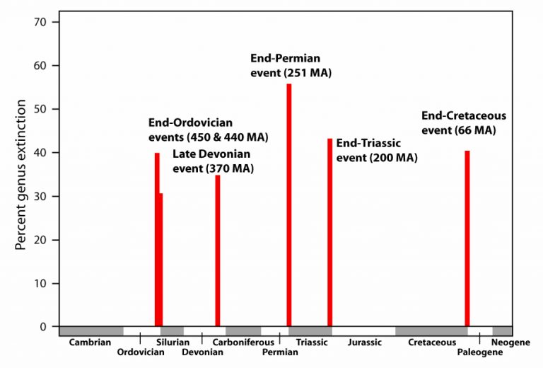 Mass Extinctions Sam Noble Museum
