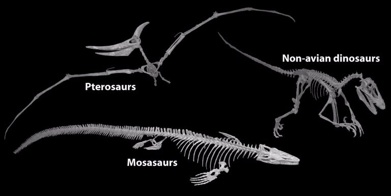 end of cretaceous period