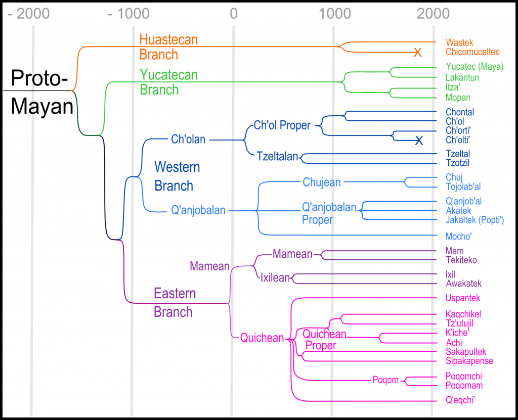 Mayan Languages - Sam Noble Museum