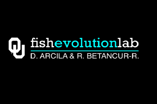 Link to Fish Evolution Lab