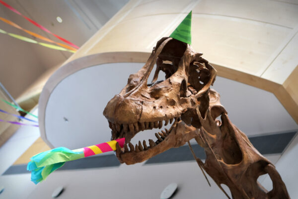 Link to Birthday Parties