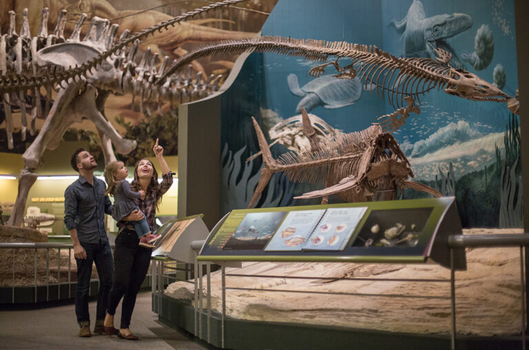 Plan Your Visit - Sam Noble Museum