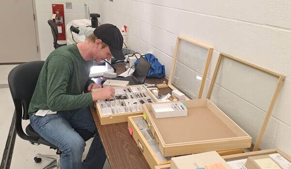 Visitor Highlight: Aquatic Insects